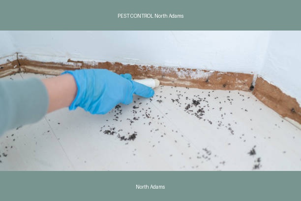 PEST CONTROL North Adams